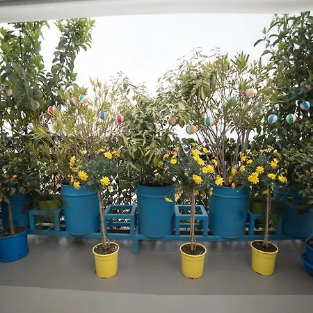 شقة Dandy Nea Kallikratia Sea View Loft - Open Up Roof - Down Town